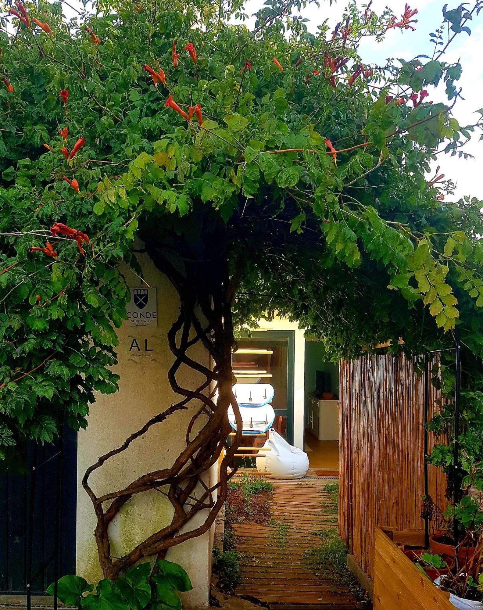 Conde Surf Camp - Junto Ao Mar - Entire Pvt House Villa Vila do Conde Buitenkant foto
